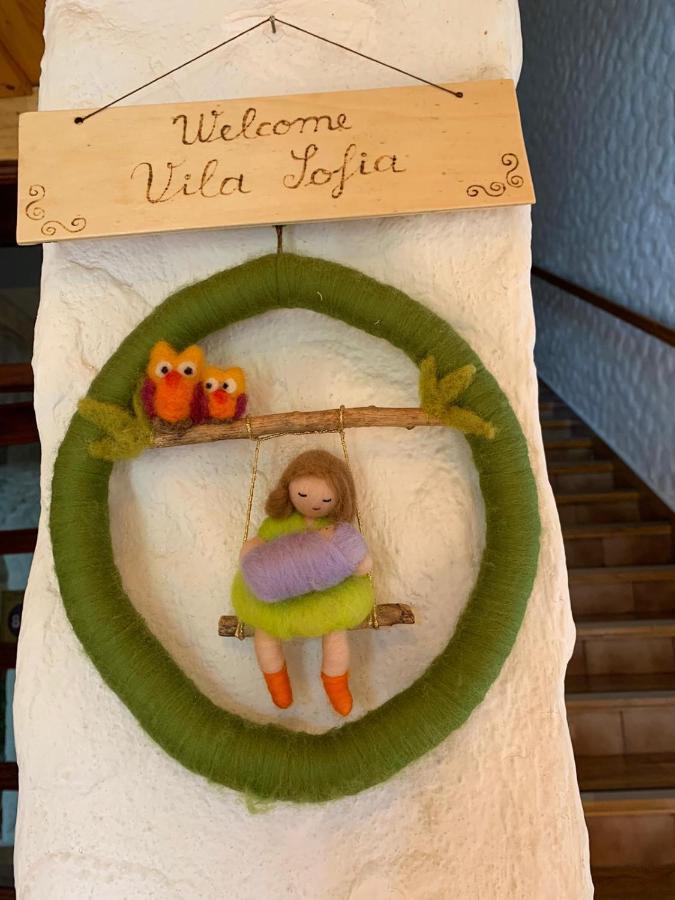Vila Sofia Predeal Eksteriør billede