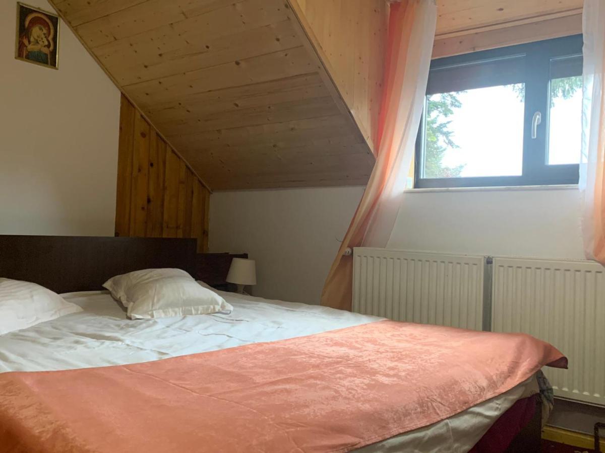 Vila Sofia Predeal Eksteriør billede