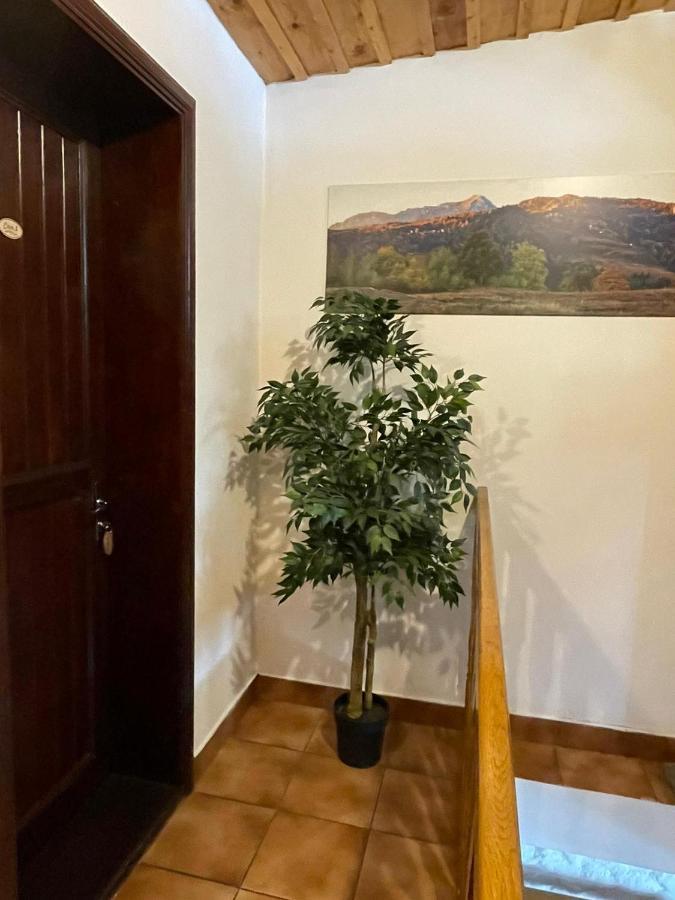 Vila Sofia Predeal Eksteriør billede